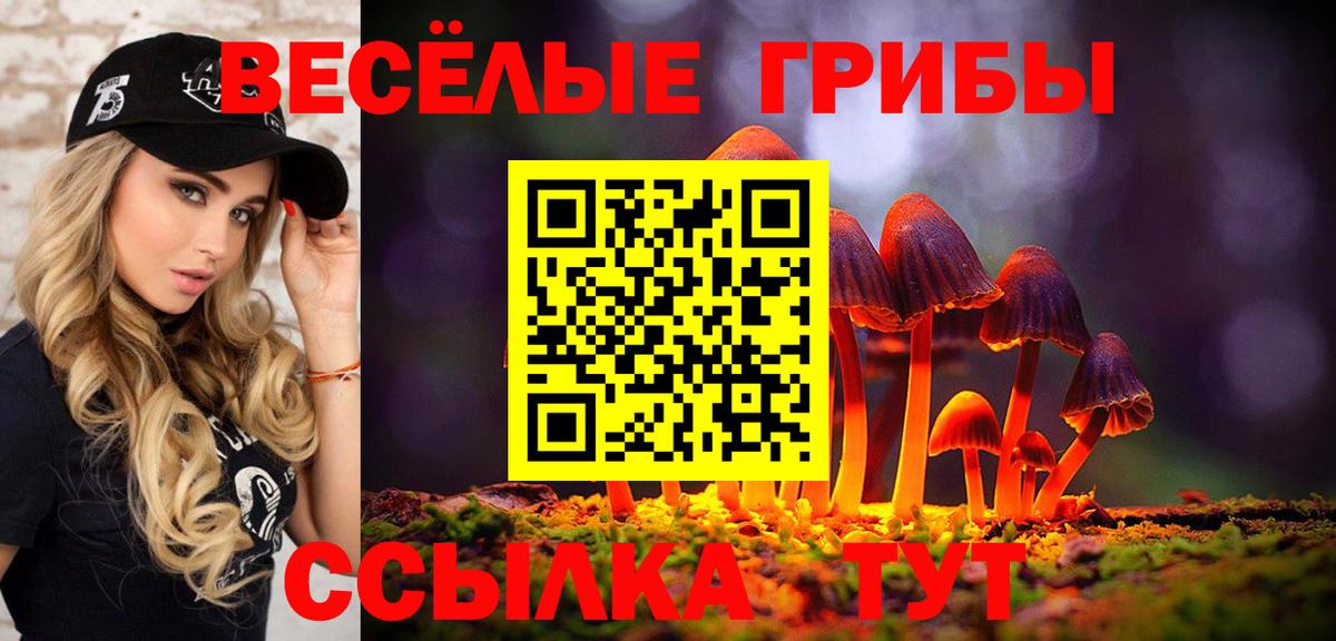 Псилоцибиновые грибы Бердск