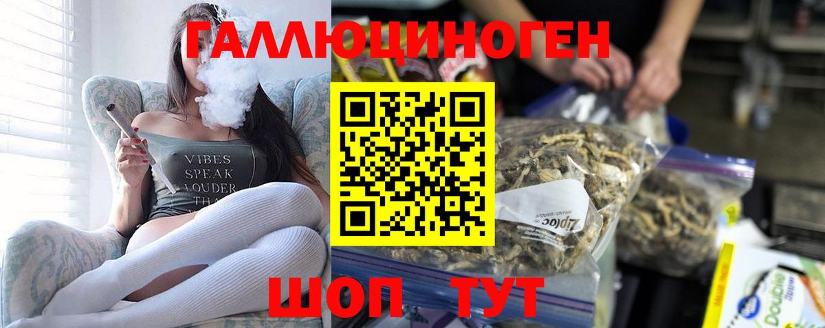 Псилоцибиновые грибы MAGIC MUSHROOMS  Вход с VPN  Бердск 